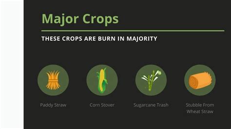 How to Stop Stubble Burning- solutions to save our mother earth ...