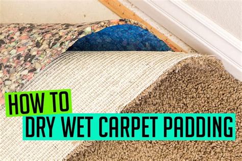 How to Dry Wet Carpet Padding [Practical Steps To Dry It Out Fast]