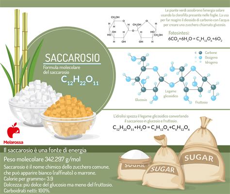 Sacarosa Que Es