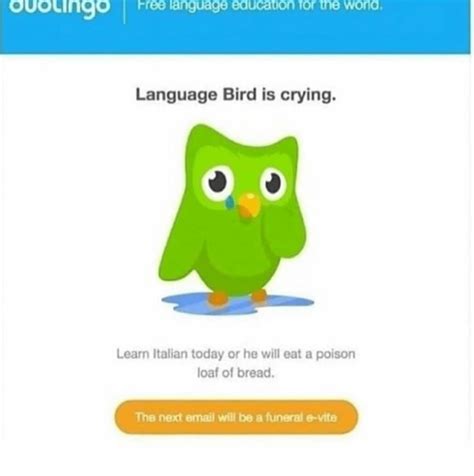 26 Duolingo Memes That'll Strike Fear In Your Heart | Duolingo, Learning italian, Memes