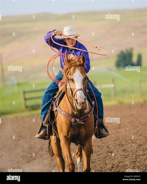 Cowboy throwing lasso hi-res stock photography and images - Alamy