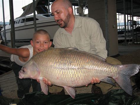 Big Fishes of the World: BUFFALO BIGMOUTH (Ictiobus cyprinellus)