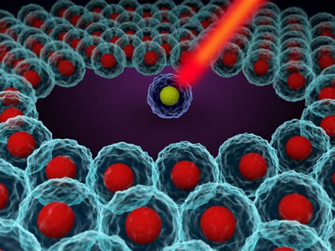 Biologically-validated AI is how scientists are realising the full potential of single-cell RNA ...