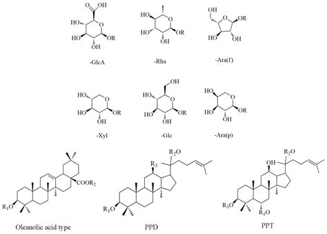 Fermentation | Free Full-Text | Fermentation, Identification, and Antioxidant Activity of ...