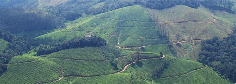 Idukki Hill Station Kerala – Best Time to Visit Iduki Kerala