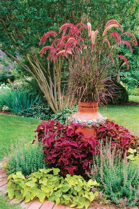 40 Best Ornamental Grasses For Containers (5) | Fall container gardens ...