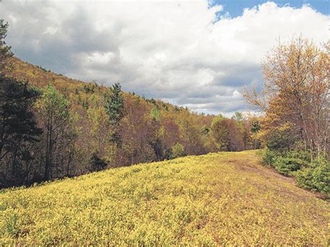 Nolichucky River Gorge-ous | | johnsoncitypress.com