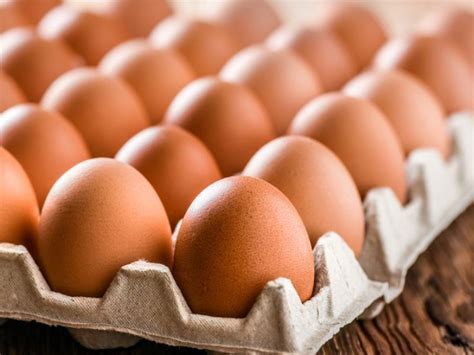 Brown Egg Manufacturer in Delhi Delhi India by Pthakur Agro Industries ...