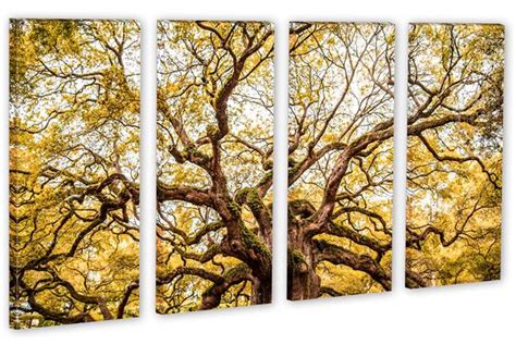 Angel Oak Tree Wall Art Canvas Print Orange. 4 Panel Split, home decor ...