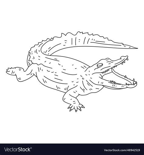 Open mouth alligator outline Royalty Free Vector Image