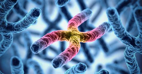 X-linked hypophosphatemia: Diagnosis and insights