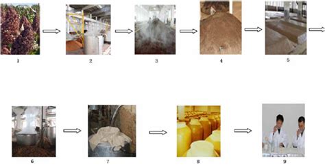 Main production process of Maotai flavor wine. 1. Sorghum 2. Steamed... | Download Scientific ...