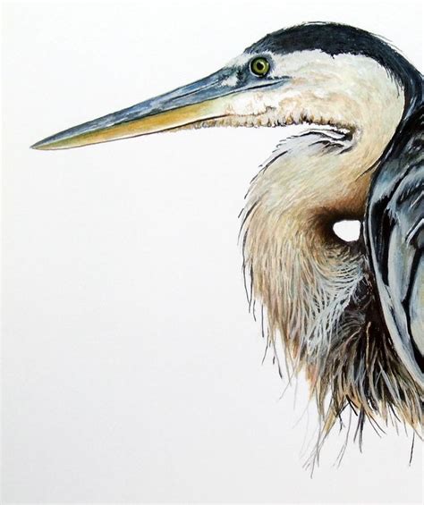 1000+ images about Herons. paintings .photos. drawings on Pinterest ...