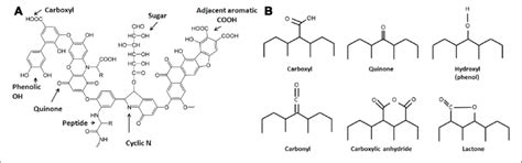 | Structures of (A) a model humic acid (adapted from Stevenson, 1994)... | Download Scientific ...