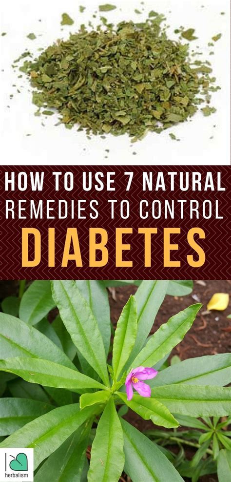 TOP 7 Natural Herbs For Diabetes | Natural herbs, Herbs, Natural remedies