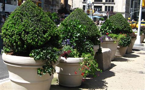 How To Maintain Large Commercial Planters