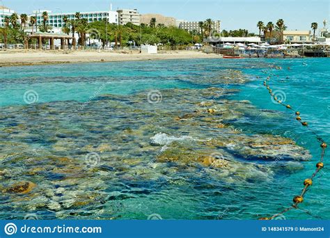 Coral Reef on the Red Sea Eilat Stock Image - Image of ocean, city: 148341579