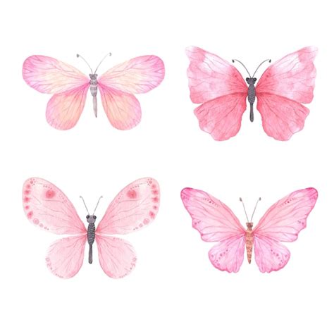 Premium Vector | Set of pink bright watercolor butterflies clipart