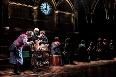 Harry Potter and the Cursed Child Play Review — The Restless Wild