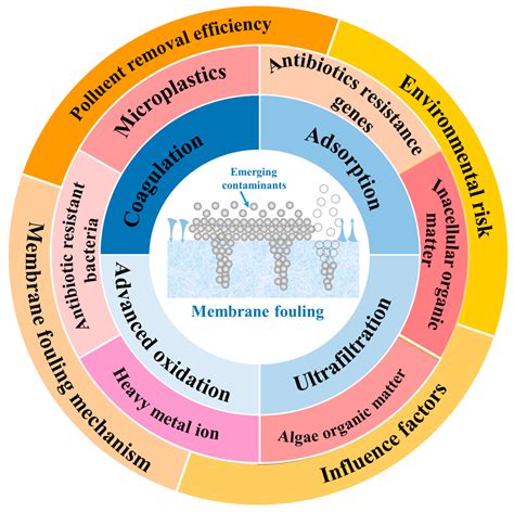 Membranes | Free Full-Text | Reduction of Ultrafiltration Membrane ...