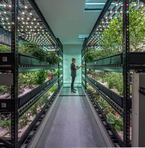 Urban Farming Goes Underground