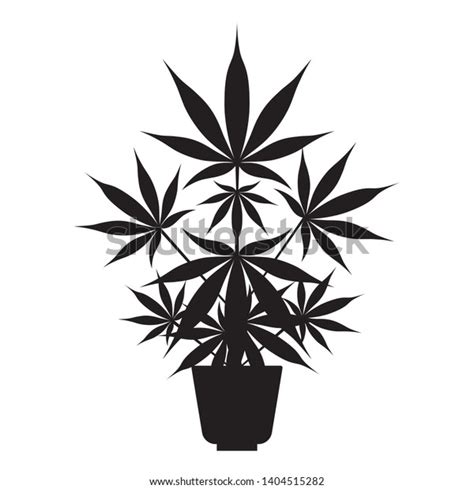 Silhouette Cannabis Plant Pot Isolated On: เวกเตอร์สต็อก (ปลอดค่า ...