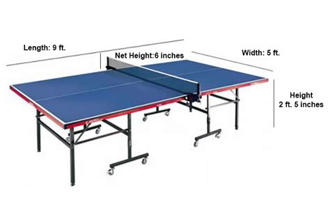 Different Table Tennis Table Dimensions - Sports Websites