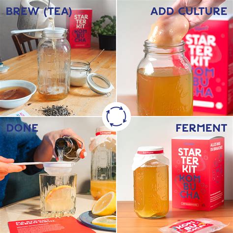 Kombucha Starter Kit - Make organic kombucha yourself I incl. Scoby, tea, jars, sugar, recipes ...