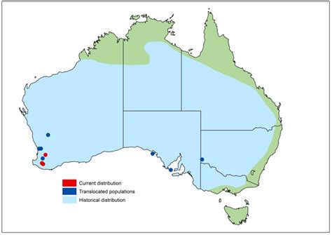 Threatened and priority fauna resources | Department of Biodiversity ...