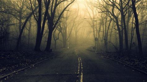 road, Forest, Spooky Wallpapers HD / Desktop and Mobile Backgrounds