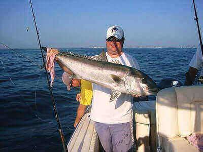 How To Catch Amberjack