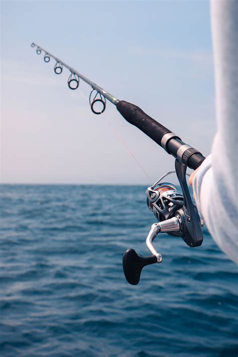 Choosing A Store To Buy Your Fishing Equipment - Fishing Equipment Store - Medium