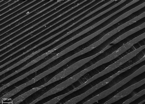 Incredible photos of record grooves under an electron microscope - The Vinyl Factory