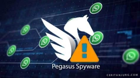 How To Get Pegasus Spyware | PrimalInfo