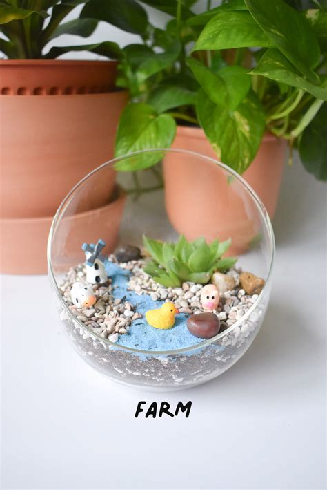 Succulent/cacti terrarium DIY kit ($30 before shipping) – Craftsforgreen