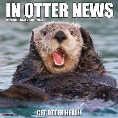 Willow Creek Press In Otter News 2021 Calendar, Large | Funny animal jokes, Funny animal memes ...