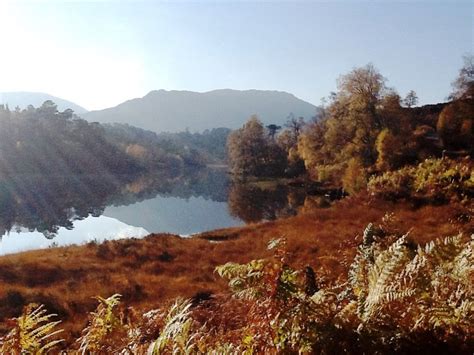 Glen Affric bursting in its Autumn splendour! Highlands, Scotland Highlands Scotland, The ...