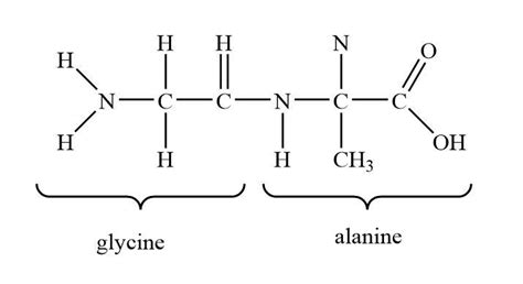 What are Peptides and peptide linkage? Explain with an example.