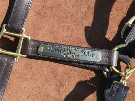 Engraved Halter Nameplate Longer Horse Size - Halter Tags | Equestrian ...