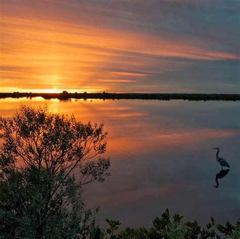 Merritt Island National Wildlife Refuge in #Florida was once a part of the 140000 acres of land ...