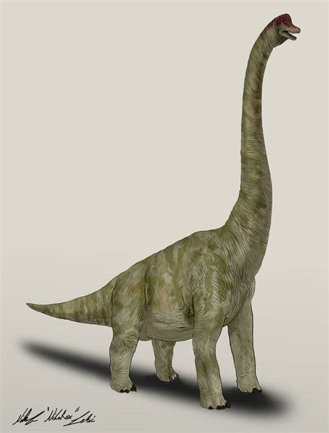 Jurassic Park /// Brachiosaurus by NikoRex on DeviantArt