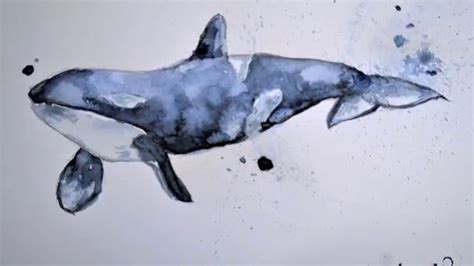 How to Paint a Whale with Watercolor | Watercolor whale, Whale sketch, Painting