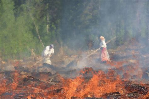 Slash and burn farming - eiright