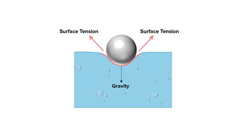 On what factor does the magnitude of the surface tension of a liquid depend?