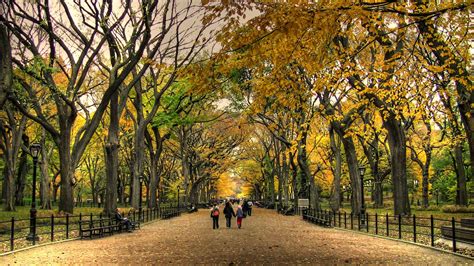 a guide to central park: Fall Foliage in Central Park