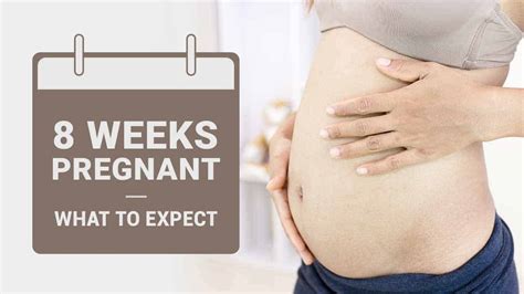 8 Weeks Pregnant: Baby’s Development, Symptoms, and Tips!