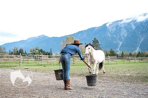 Feeding Rice Bran To Horses [Pros + Cons] - Horses & Foals