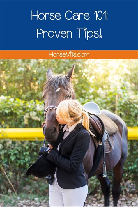 HORSE Care 101: Proven Tips for Handling and Loving Them