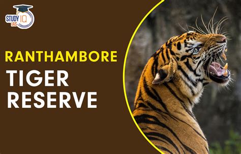 Ranthambore Tiger Reserve, Location, Map, Tiger Population