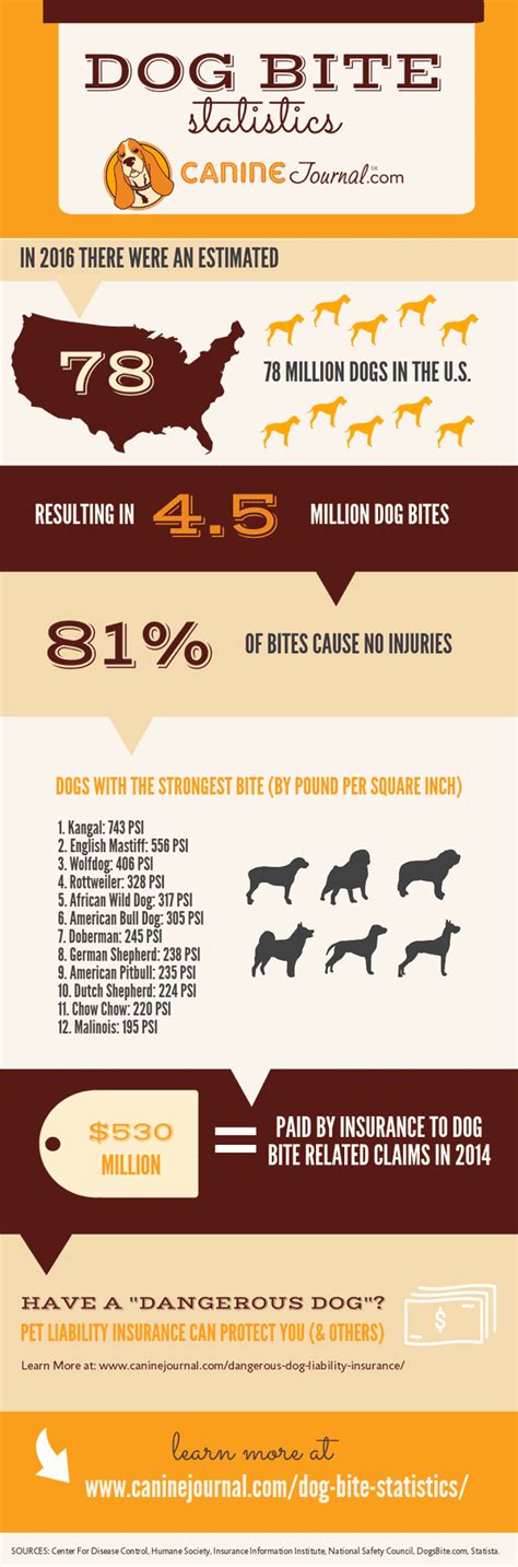 Dog Bite Statistics According to Breed | Adam S. Kutner, Injury Attorneys